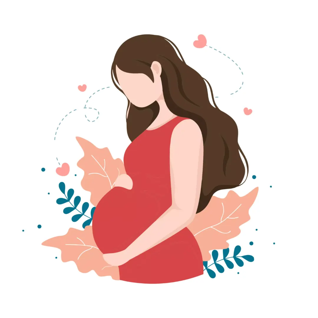 pregnant women illustration